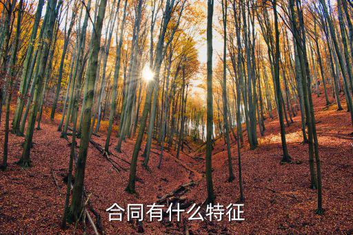 合同有什么特征