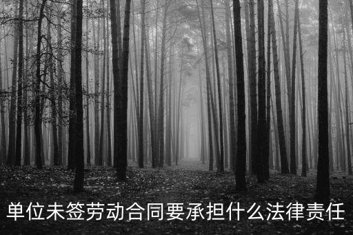 單位未簽勞動(dòng)合同要承擔(dān)什么法律責(zé)任