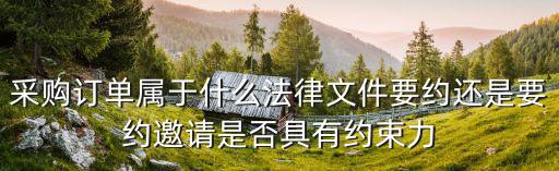 采購訂單屬于什么法律文件要約還是要約邀請是否具有約束力