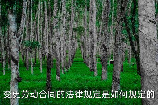 法律規(guī)定的變更合同是什么，合同變更在法律上是如何進(jìn)行規(guī)定的