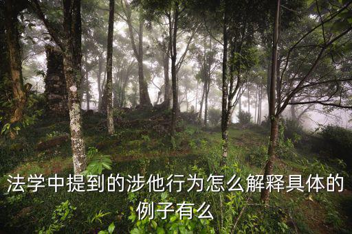 法學(xué)中提到的涉他行為怎么解釋具體的例子有么