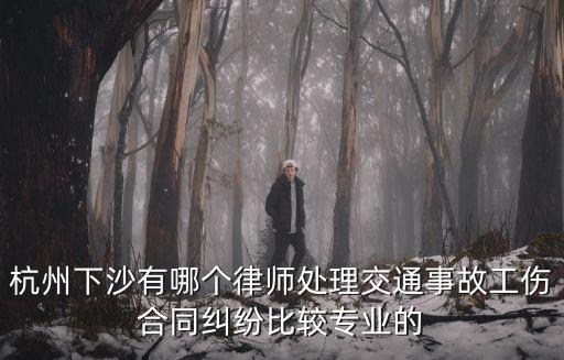 杭州下沙有哪個(gè)律師處理交通事故工傷合同糾紛比較專業(yè)的
