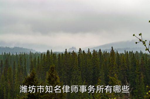 濰坊地區(qū)合同法律師哪個(gè)好，山東濰坊律師認(rèn)真負(fù)責(zé)的希望大家推薦一個(gè)