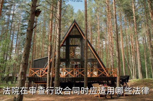 法院在審查行政合同時應適用哪些法律
