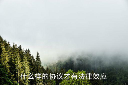什么樣的協(xié)議才有法律效應(yīng)