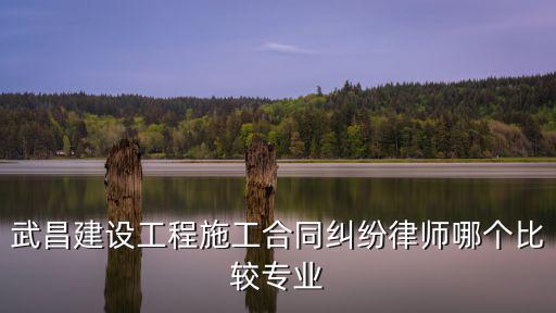 武昌建設(shè)工程施工合同糾紛律師哪個(gè)比較專業(yè)