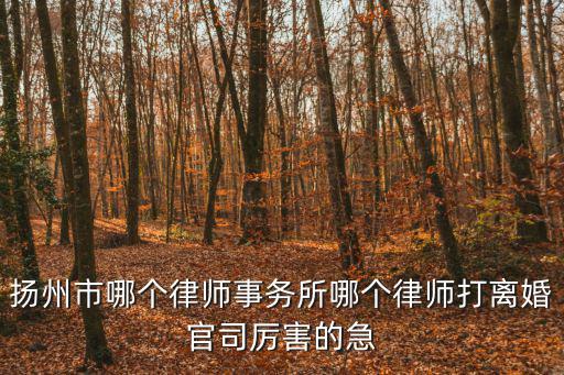 揚(yáng)州市哪個(gè)律師事務(wù)所哪個(gè)律師打離婚官司厲害的急