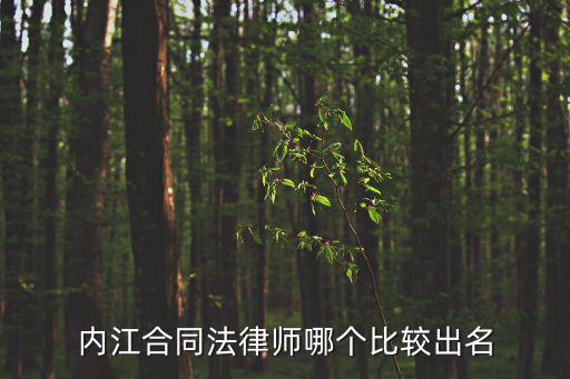 塘沽合同法律師哪個(gè)好，塘沽有幾家律師事務(wù)所最好能具體點(diǎn)都在哪里謝謝