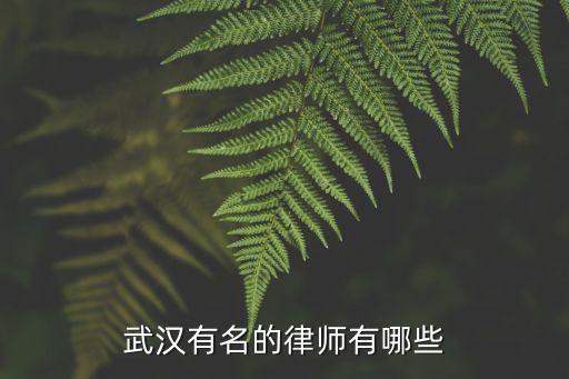 武漢當(dāng)?shù)睾贤蓭熌膫€(gè)好，武漢有名的律師有哪些