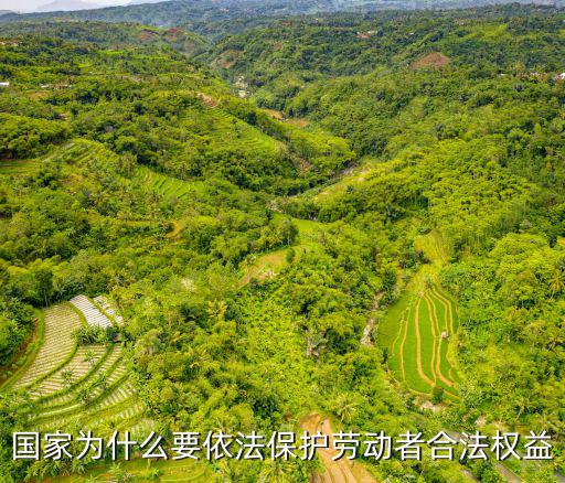 為什么要保護合同利益法律法規(guī)，合同的訂立為什么要符合法律規(guī)定