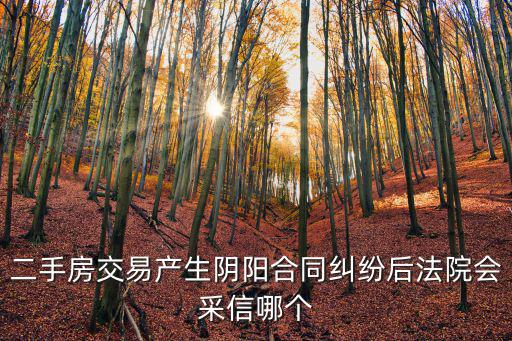 二手房交易產(chǎn)生陰陽(yáng)合同糾紛后法院會(huì)采信哪個(gè)