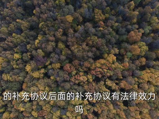 的補充協(xié)議后面的補充協(xié)議有法律效力嗎