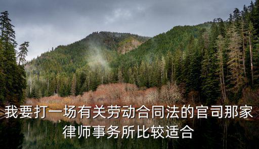 合同法律師咨詢哪個(gè)部門好，我要打一場(chǎng)有關(guān)勞動(dòng)合同法的官司那家律師事務(wù)所比較適合