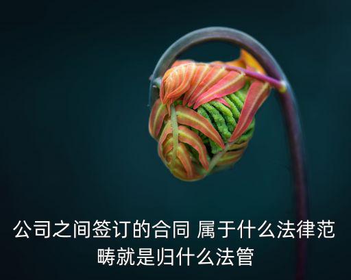 公司之間簽訂的合同 屬于什么法律范疇就是歸什么法管