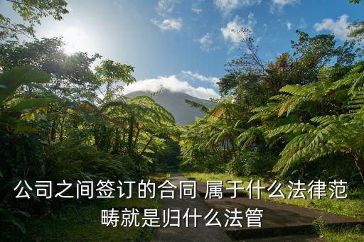 簽訂合同根據(jù)哪個(gè)法律，簽合同遵守什么法律