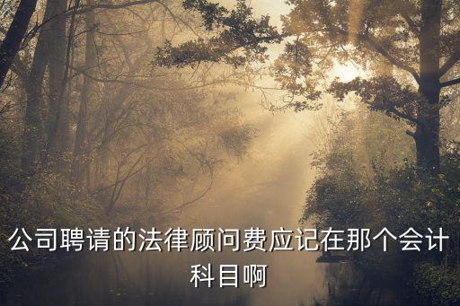 公司聘請(qǐng)的法律顧問(wèn)費(fèi)應(yīng)記在那個(gè)會(huì)計(jì)科目啊