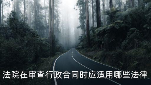 行政合同在哪個法律里面，法院在審查行政合同時應(yīng)適用哪些法律