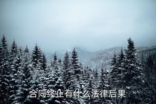 合同終止有什么法律后果