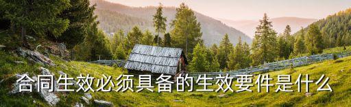 合同生效必須具備的生效要件是什么