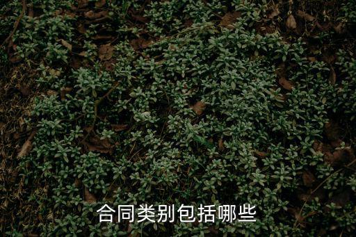 法律規(guī)定的合同有哪些種類，合同怎么分類