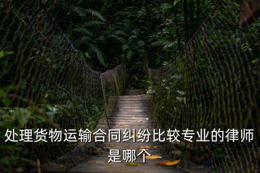 處理貨物運輸合同糾紛比較專業(yè)的律師是哪個