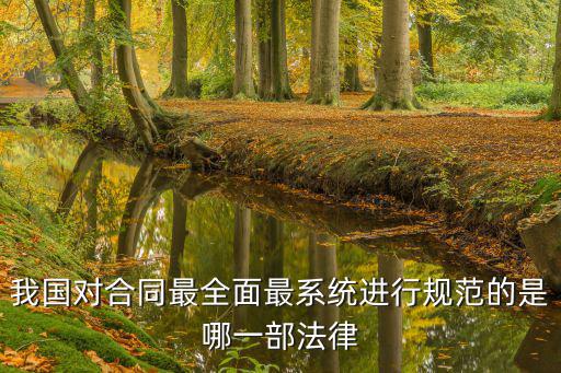 我國(guó)對(duì)合同最全面最系統(tǒng)進(jìn)行規(guī)范的是哪一部法律