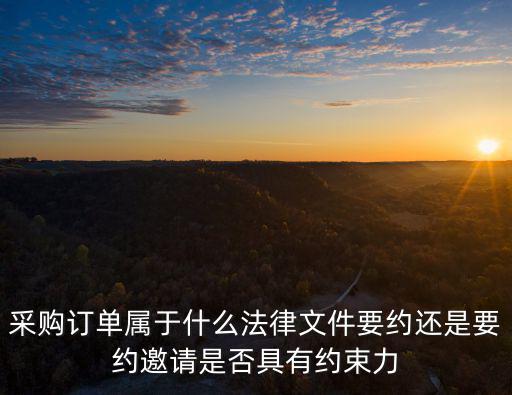 采購訂單屬于什么法律文件要約還是要約邀請是否具有約束力