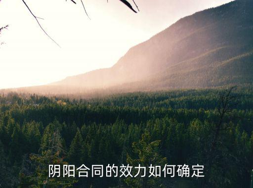 陰陽合同的效力如何確定