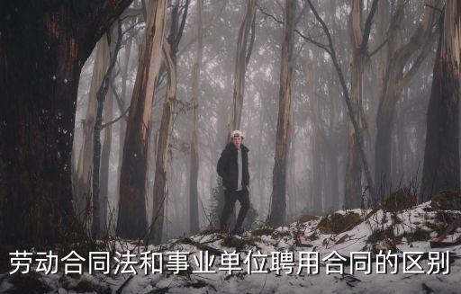 聘用合同時(shí)什么法律關(guān)系，勞動(dòng)合同法律關(guān)系是什么