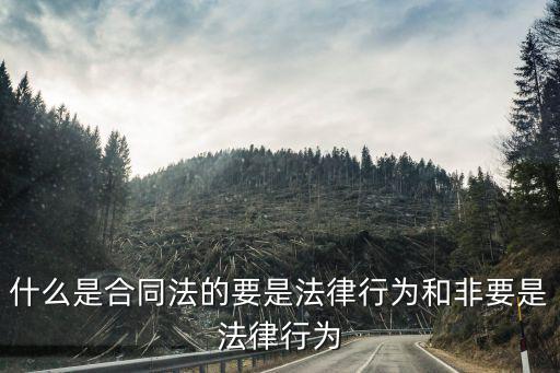 什么是合同法的要是法律行為和非要是法律行為