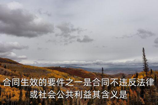 合同生效的要件之一是合同不違反法律或社會(huì)公共利益其含義是