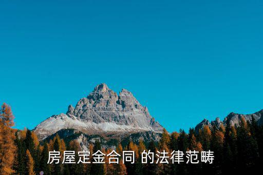房屋定金合同 的法律范疇