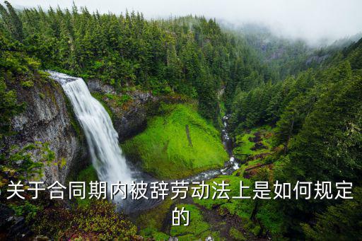 簽合同被辭退觸犯什么法律，關(guān)于合同期內(nèi)被辭勞動(dòng)法上是如何規(guī)定的