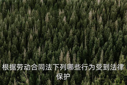 根據(jù)勞動(dòng)合同法下列哪些行為受到法律保護(hù)