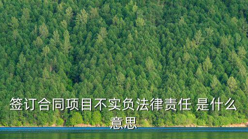 簽訂合同項目不實負法律責(zé)任 是什么意思