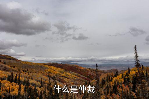合同仲裁是指的什么呢法律規(guī)定，仲裁是什么意思什么時(shí)候需要這些