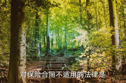 哪個保險合同不有法律效力，對保險合同不適用的法律是