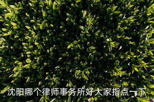 沈陽(yáng)哪個(gè)律師事務(wù)所好大家指點(diǎn)一下