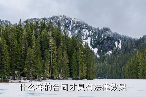 買賣合同的法律效果有哪些，什么樣的合同才具有法律效果