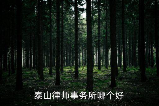 泰山律師事務(wù)所哪個(gè)好