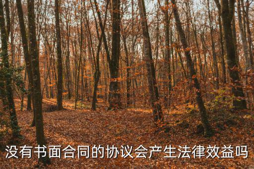 非書面合同有什么用呢法律規(guī)定，非格式合同有什么