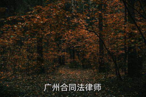 廣州合同法律師