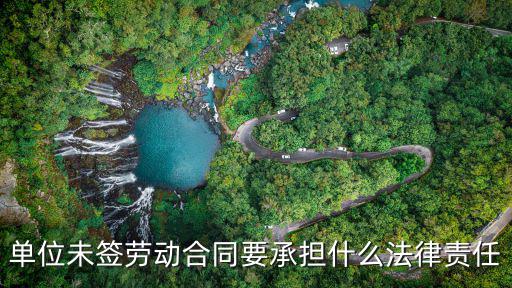 單位未簽勞動合同要承擔(dān)什么法律責(zé)任