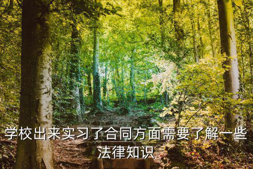 學(xué)校出來(lái)實(shí)習(xí)了合同方面需要了解一些法律知識(shí)