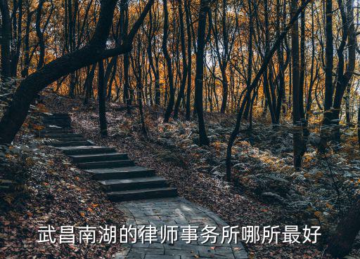 武昌南湖的律師事務(wù)所哪所最好