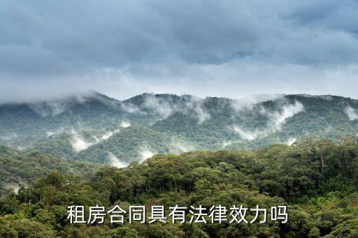 租房合同具有法律效力嗎