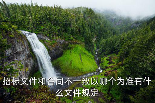 合同和招標文件哪個有法律，合同與招標文件有沖突以哪個為準