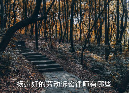 揚(yáng)州好的勞動(dòng)訴訟律師有哪些