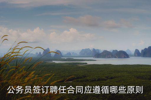 公務員簽訂聘任合同應遵循哪些原則