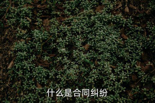 什么是合同糾紛